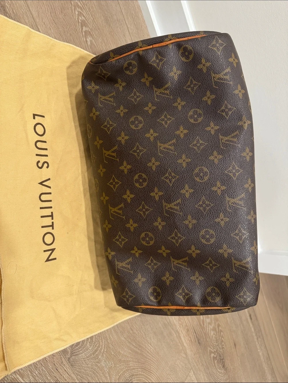 Louis Vuitton classic louis